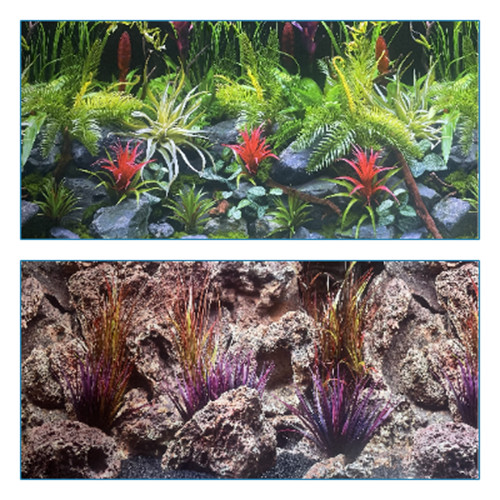 Poster fond aquarium - poster,