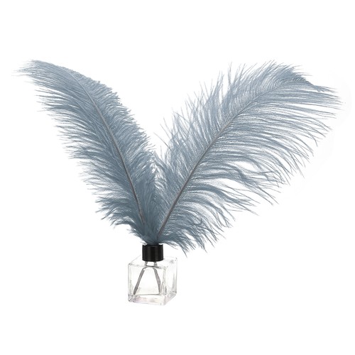 Pièces plumes autruche - 30, d'autruche