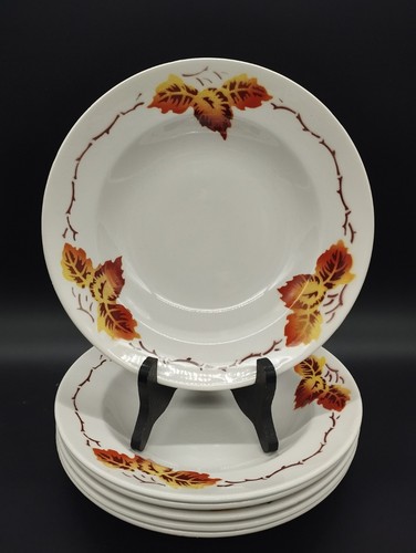 Assiettes creuses moulin des - 6,