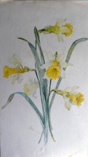 Aquarelle ancienne fleurs Fin