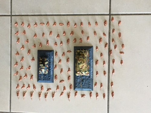 Lot petits soldats - avec, 2