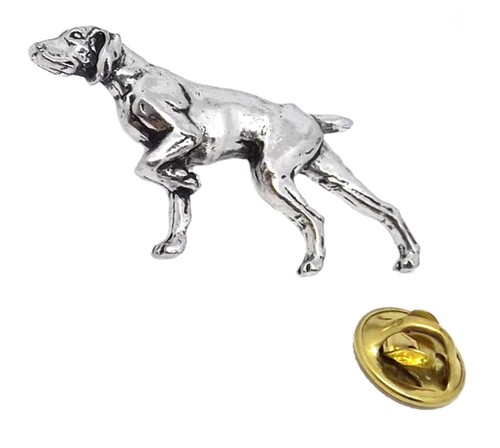 Pointer oiseau chien chasse - oiseau,