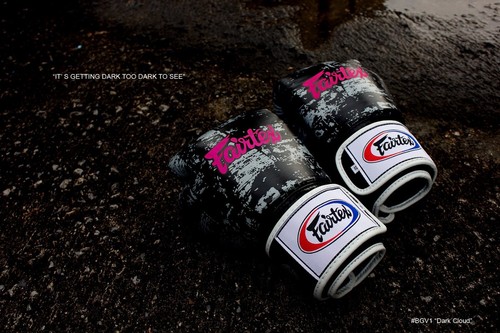 Gants boxe fairtex neufs en - gants,