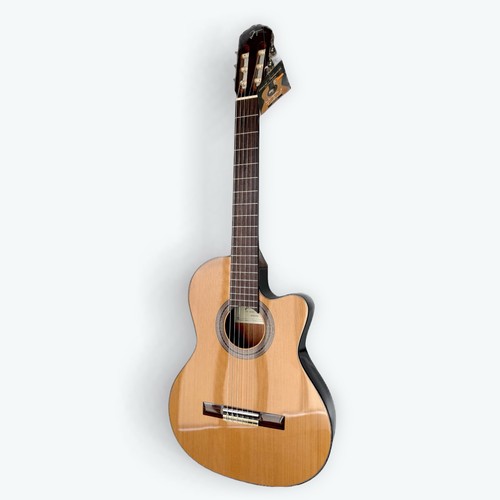 Francisco tárrega guitare - francisco,