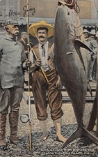 CPA ETATS UNIS D'AMERIQUE /