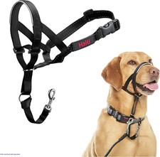 HALTI | Collier Anti-Traction Laisse Pour Chien De Taille Moyenne | Couleur Noir