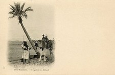 POSTCARD / CARTE POSTALE ALGERIE / TYPES ALGERIENS TARGUI ET SON MEHARI