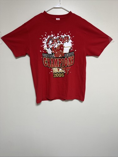 Hiroshima carp 2016 central - 2016,