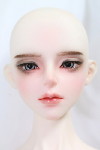 Luts super senior delf muse - luts,