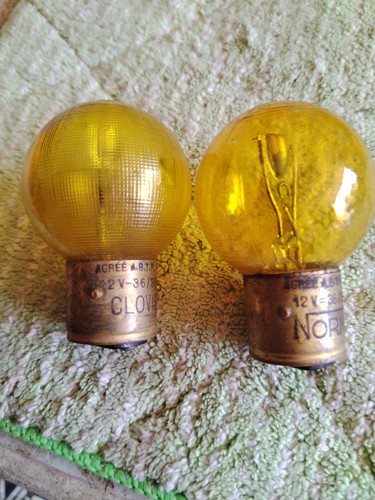 Ampoule norma 1 clovis - norma,
