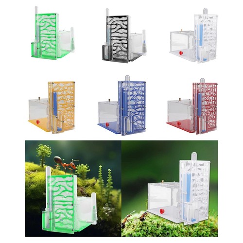Habitat pour fourmis diy - pour,