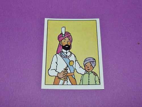 Panini tintin herge - panini,