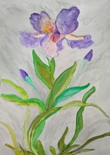 PEINTURE AQUARELLE SUR PAPIER