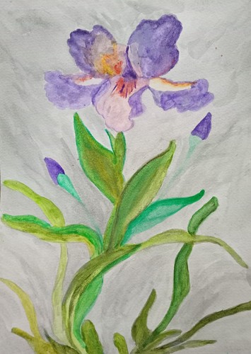 Peinture aquarelle sur - peinture, papier