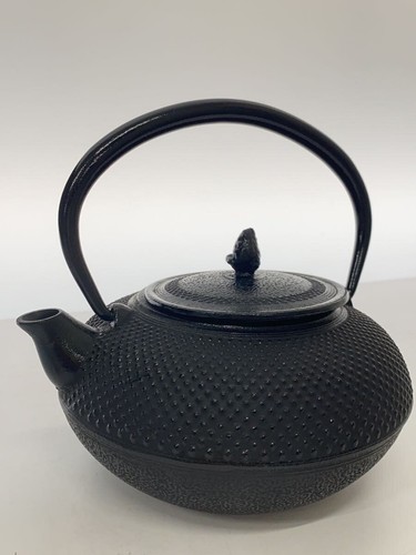 Kyusu japonais nambu - nambu, tekki
