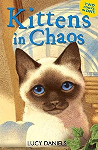 Chatons dans chaos - chatons,