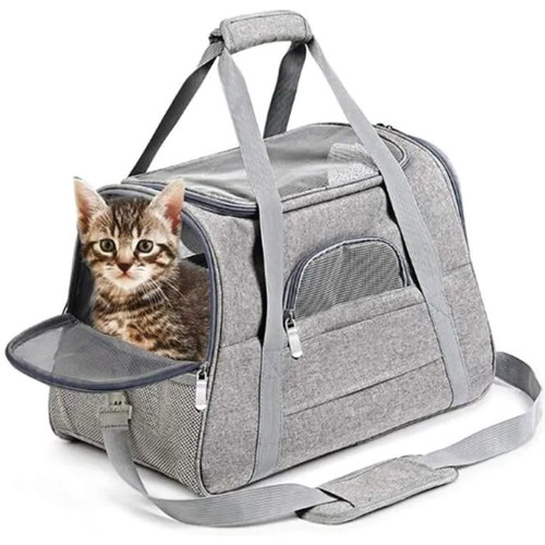 Sac dos transport chien - à,