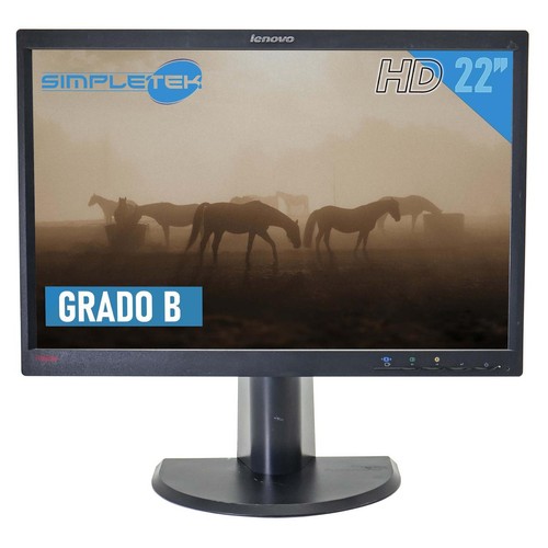 Lenovo l2250p moniteur - moniteur, Écran