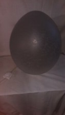 lampe oeuf
