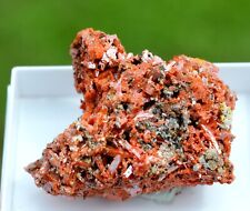 Crocoïte 49 grammes - Dundas mineral field, Zeehan District, Tasmanie Australie