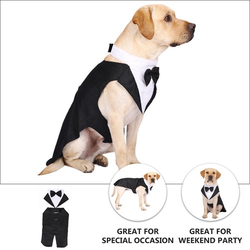 Tenue chien vêtements pour - tenue,