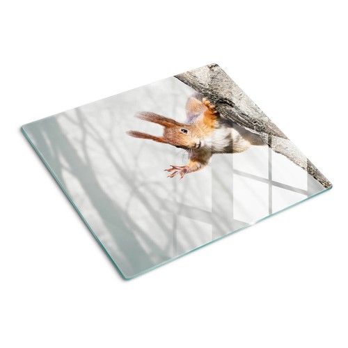 Tulup planche cuisine en - tulup,