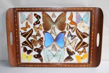 Plateau en bois et entomologie