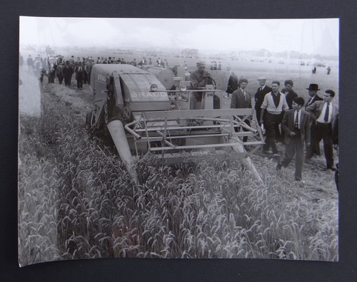 Photo ancienne braud - photo,