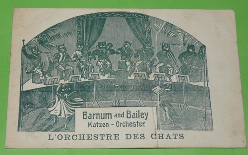 Cpa carte postale 1902 - cpa,