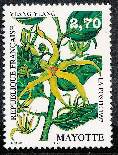 Timbre mayotte neuf sans - mayotte,