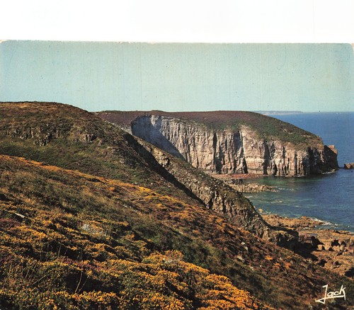 Cap frehel les falaises - les,