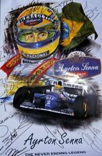 PLAQUE MÉTAL  FORMULE 1 F1 AYRTON SENNA   30 X 20 CM