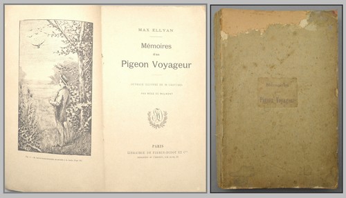Mémoires pigeon voyageur - d'un,