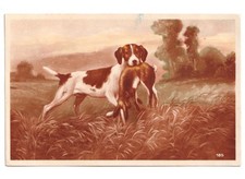 1930 Antique Carte Postale