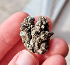 Marcassite - Cap Blanc Nez