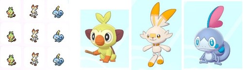 Shiny starter pokemon - starter, shield