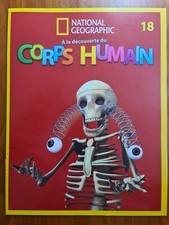 Découverte du corps - la,