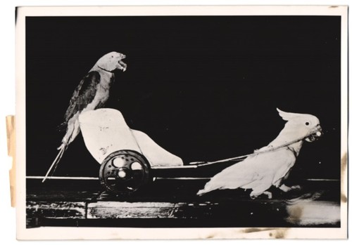 Photographie pousse - photographie,