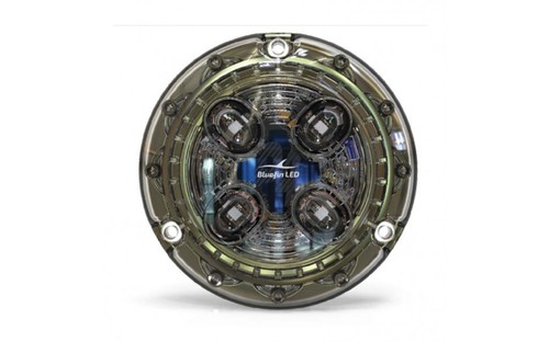 Led bluefin piranha - led, p4