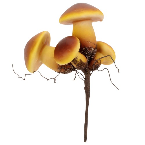 Panneau champignon jardin - champignon,