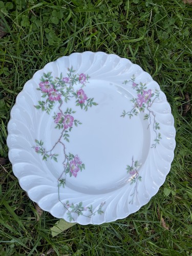 Assiettes haviland - assiettes,