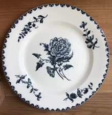 Assiette Terre de fer Salins