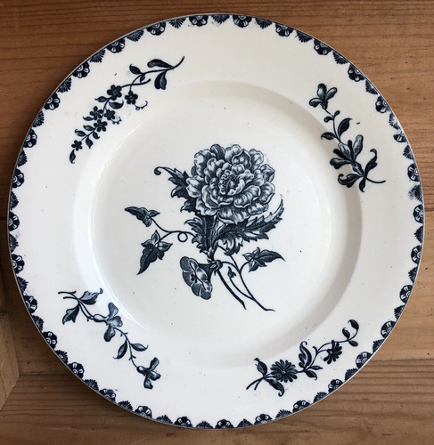 Assiette terre fer - de, salins