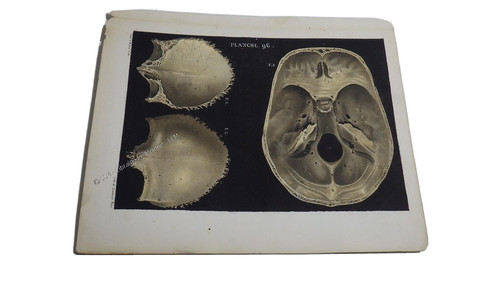 1850 lithographie couleur - 1850.lithographie,