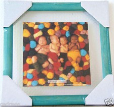 tableau cadre ANNE GEDDES