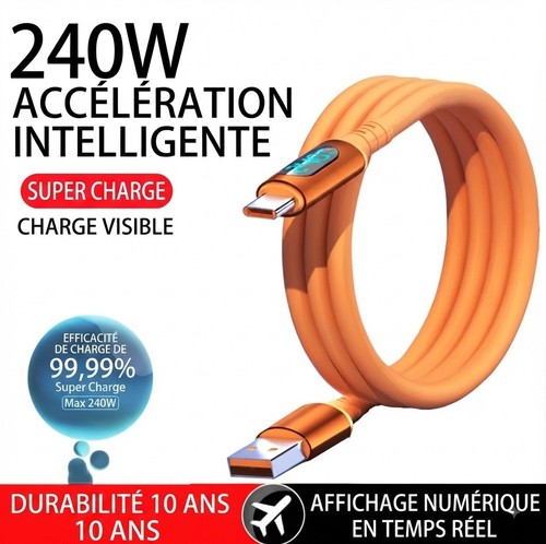 Câble 240w fast - câble,