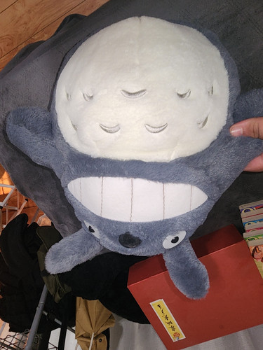 Studio ghibli neighbor - studio,