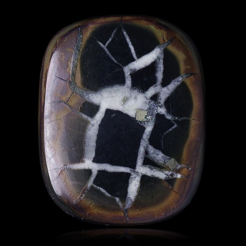 Septaria 40 ct - septaria,