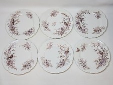 6 Superbes Assiettes Anciennes XIXème En Porcelaine Blanche Décor Aux Oiseaux