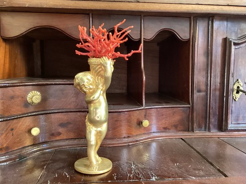 Belles branches corail - belles,